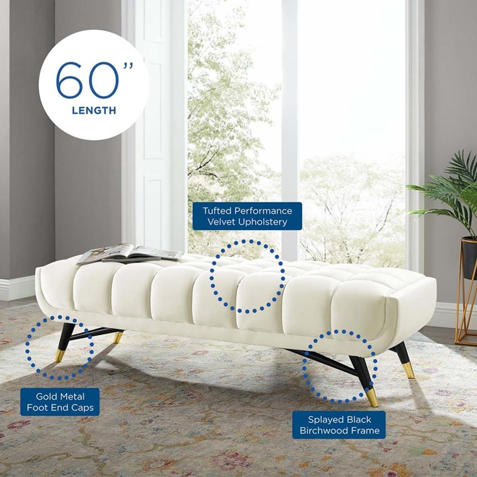 Scholar 60" Performance Velvet Bench In Ivory by Modway Furniture