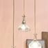 Isabella Carafe 1-Light Pendant by Jamie Young