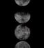 MOON PHASES - 72" X 30" - CHARCOAL FRAME by Sunpan