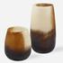 Desert Wind Glass Vases, S/2 by Uttermost