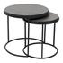 ROOST NESTING TABLES SET OF 2 by Moes Home