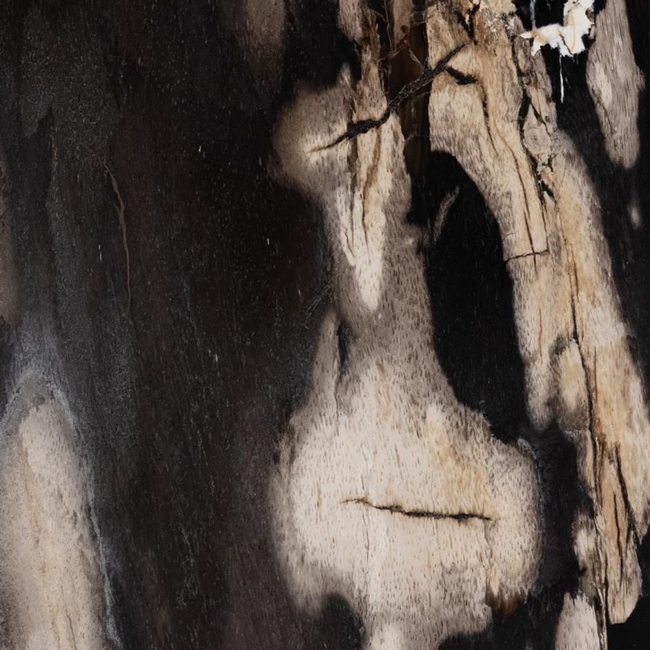 Bevin End Table - Dark Petrified Wood by Four Hands