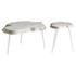 Palmer Coffee Table by Cyan Design