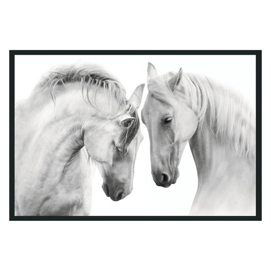 White Horses  Photography by Classic Home