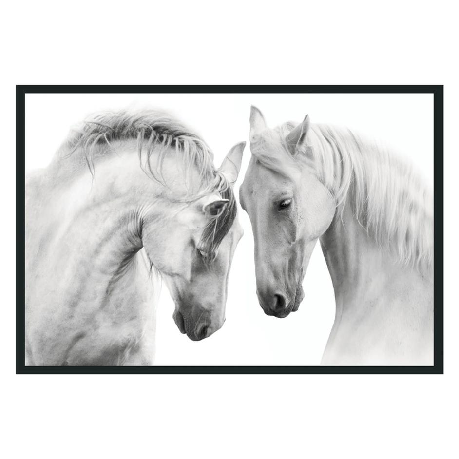 White Horses  Photography by Classic Home