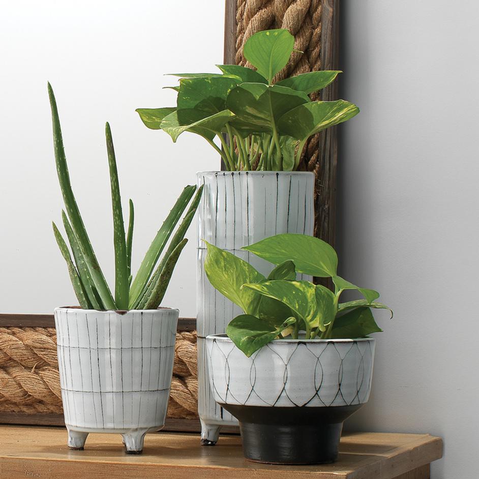 Striae Ceramic Decorative Vessels (Set of 3) by Jamie Young