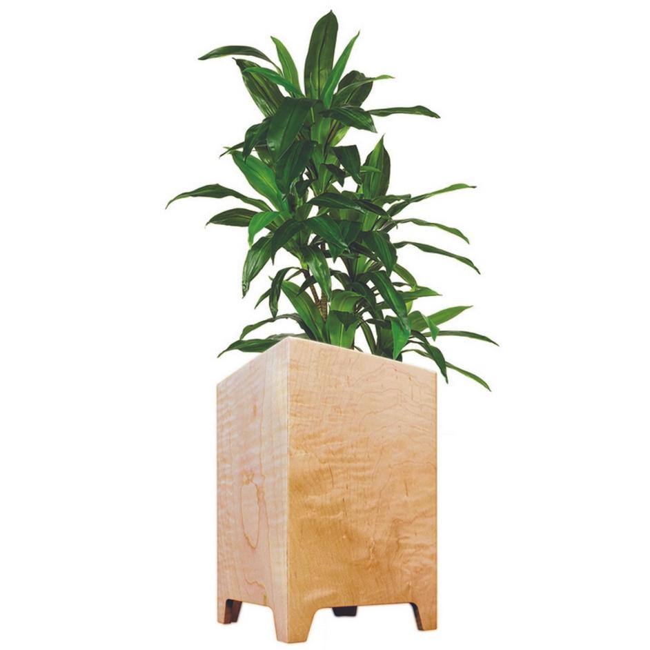 fitzgerald planter - maple by Tronk Design