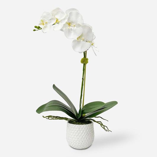 Cami White Orchid by Uttermost