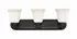 Lagoon 3 Light Vanity  in Matte Black Finish by Z-Lite