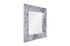 Splotch Mirror, Silver Leaf by PHILLIPS COLLECTION
