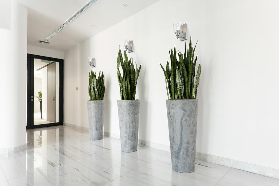 Bohin 1 Light Wall Sconce in Brushed Nickel  Finish by Z-Lite