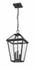 Talbot 3 Light Outdoor Chain Mount Ceiling Fixture in Rubbed Bronze Finish by Z-Lite
