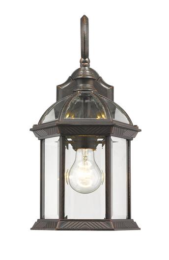 Annex 1 Light Outdoor Wall Light in Rust Finish by Z-Lite