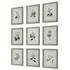 Antique Botanicals Framed Prints, S/9 by Uttermost