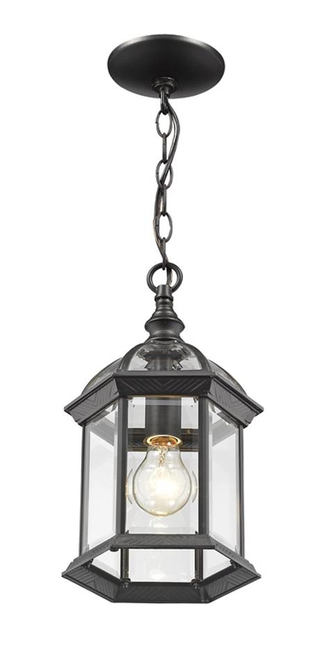 Annex 1 Light Outdoor Chain in Black Finish by Z-Lite