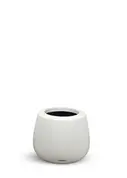 Belly Pot in White Matte Finish 15" Height by lePresent