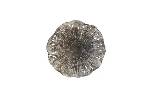 Lotus Wall Art, Silver/Black, Small by PHILLIPS COLLECTION