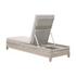 Tapestry Outdoor Chaise Lounge by Essentials For Living