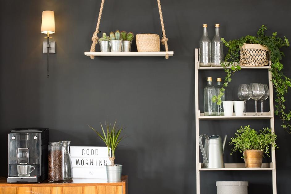 Camila 1 Light Wall Sconce in Brushed Nickel Finish by Z-Lite