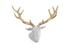 Stag Deer Head, White, Gold Leaf by PHILLIPS COLLECTION