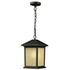 Holbrook Outdoor Chain Light in Oil Rubbed Bronze Finish by Z-Lite