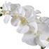 Cami White Orchid by Uttermost