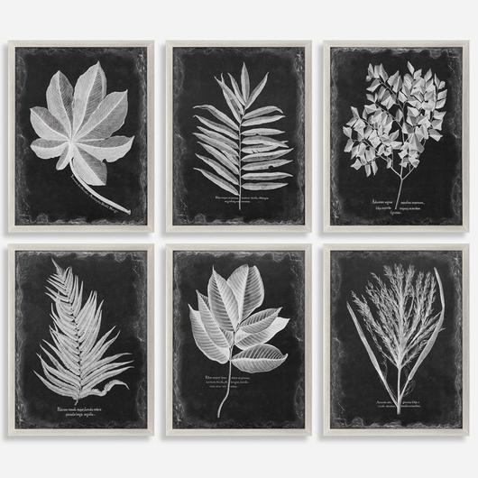 Foliage Framed Prints by Uttermost