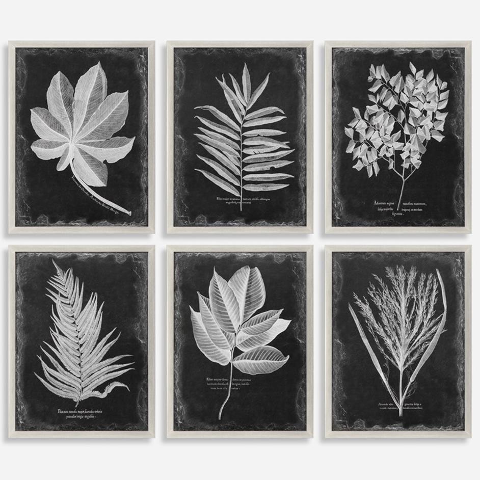 Foliage Framed Prints by Uttermost