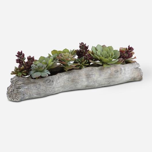 Charita Succulents by Uttermost