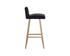 Dani Counter Stool - Onyx by Sunpan