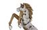 Mustang Horse Armored Sculpture, Rearing, Wood Base by Phillips Collection
