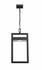 Luttrel 1 Light Outdoor Chain Mount Ceiling Fixture in Black Finish by Z-Lite