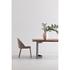 BENT DINING TABLE SMALL by Moes Home