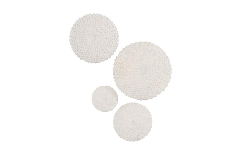 Sea Urchin Wall Art, Set Of 4 by Phillips Collection