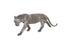 Panther Pipe Sculpture, Walking, Stainless Steel, Smallall by Phillips Collection