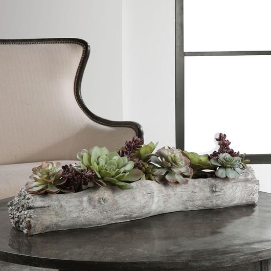 Charita Succulents by Uttermost