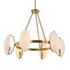 Oviform 6 Light Round Chandelier by Uttermost