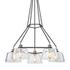 Audiophile Chandelier by Troy