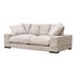 Plunge Sofa Cappuccino by Moes Home