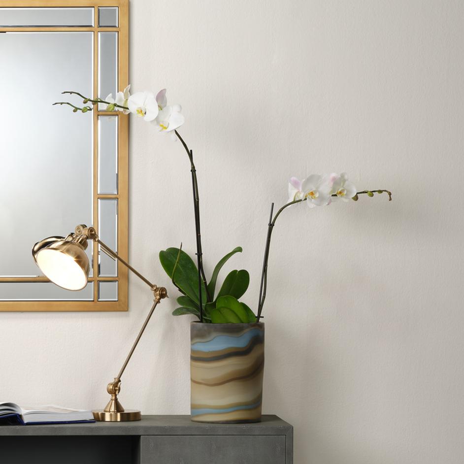 Terrene Hand Blown Decorative Glass Vase, Medium by Jamie Young