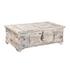 Alta Trunk Coffee Table Bleached White by Classic Home