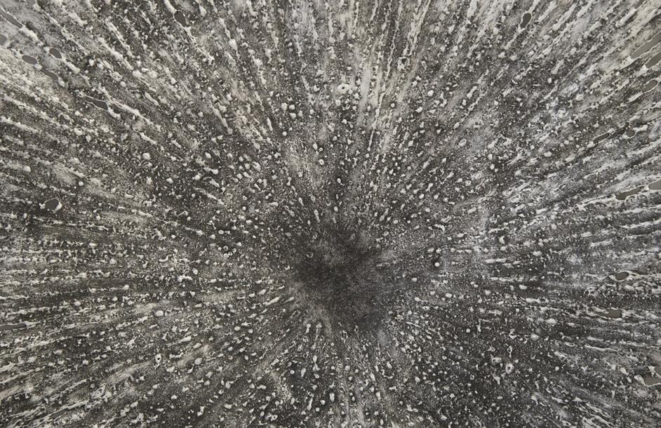 Lotus Wall Art, Silver/Black, Medium by PHILLIPS COLLECTION