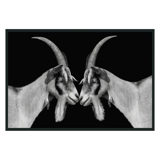 Goat Photography 48x72 by Classic Home