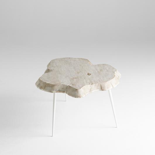 Palmer Coffee Table by Cyan Design