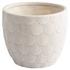 Nereus Planter | Grey- Large by Cyan Design