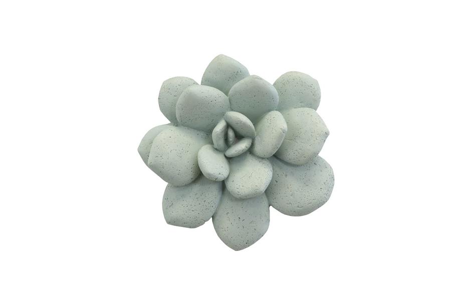 Laui Succulent Wall Art, Sage by PHILLIPS COLLECTION