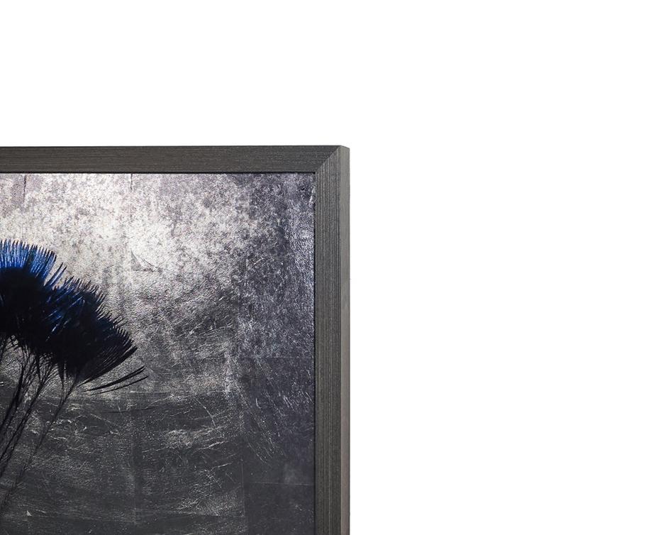 The Peacock - 48" X 72" - Charcoal Frame by Sunpan