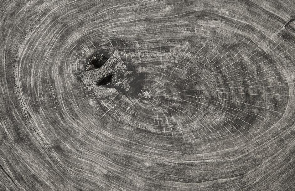 Floating Coffee Table on Acrylic Legs, Gray Stone, Size Varies by Phillips Collection