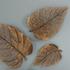 Birch Leaf Wall Art, Copper, Small by PHILLIPS COLLECTION