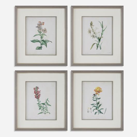 Heirloom Blooms Study Framed Prints Set/4 by Uttermost